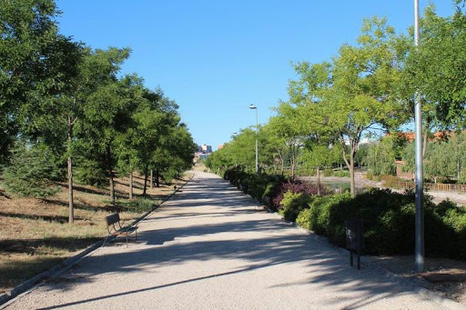 FUENLABRADA. El Ayuntamiento plantará 1.800 árboles en aceras y zonas verdes de la ciudad