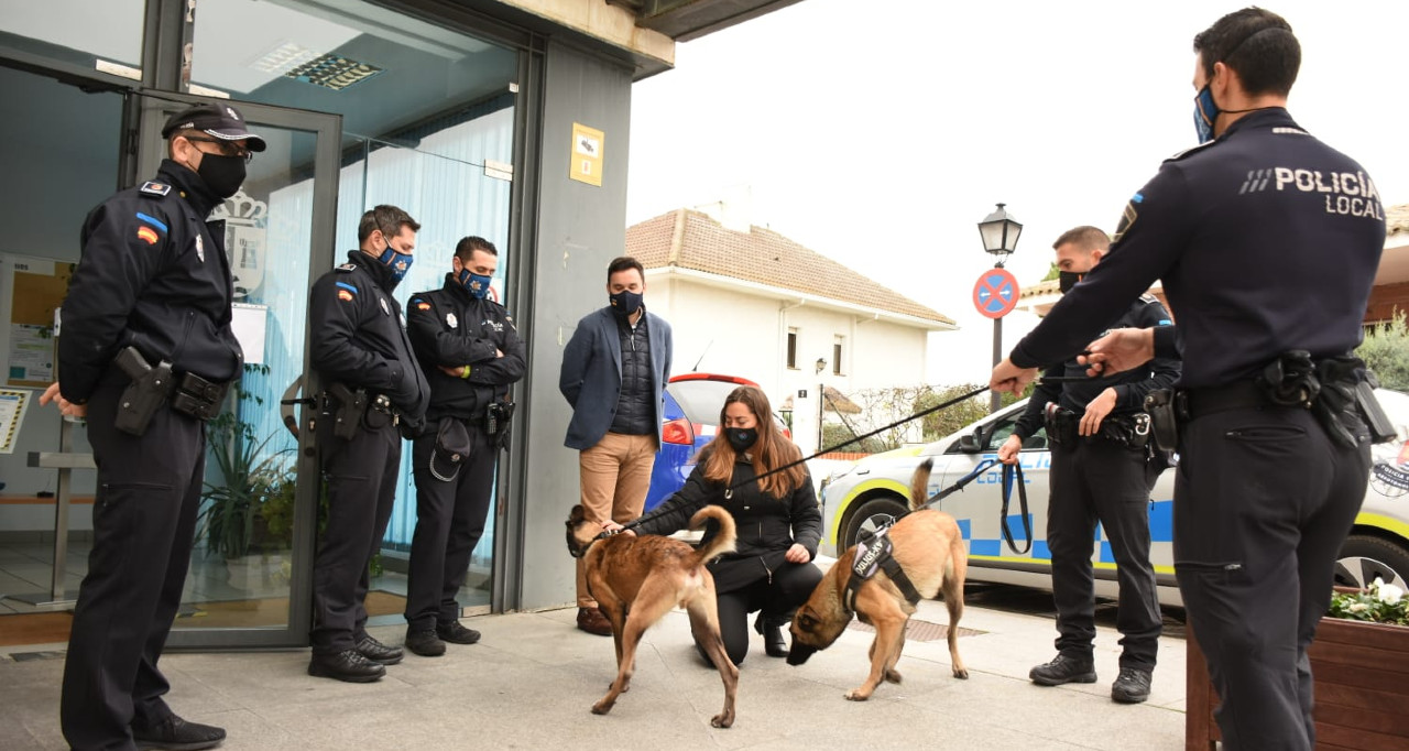 ARROYOMOLINOS. El Ayuntamiento recuperará la Unidad Canina en la Policía Local