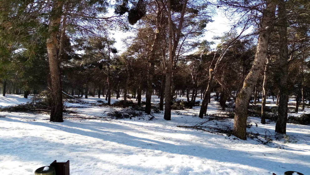 GETAFE. El Ayuntamiento pide el despliegue del cuerpo de agentes forestales