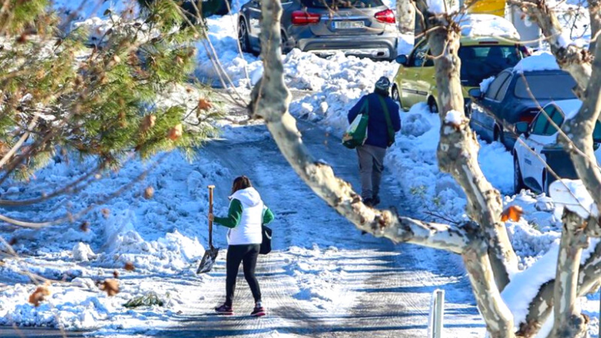 POZUELO DE ALARCÓN. Los voluntarios del registro del Ayuntamiento prestan ayuda a la población ante el temporal