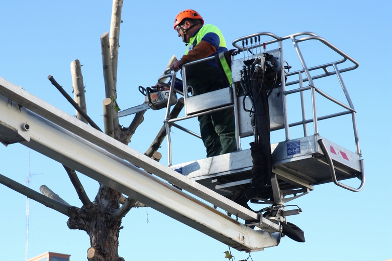 FUENLABRADA. Los servicios municipales revisan todo el arbolado de la ciudad y alertan sobre el peligro por fuertes vientos