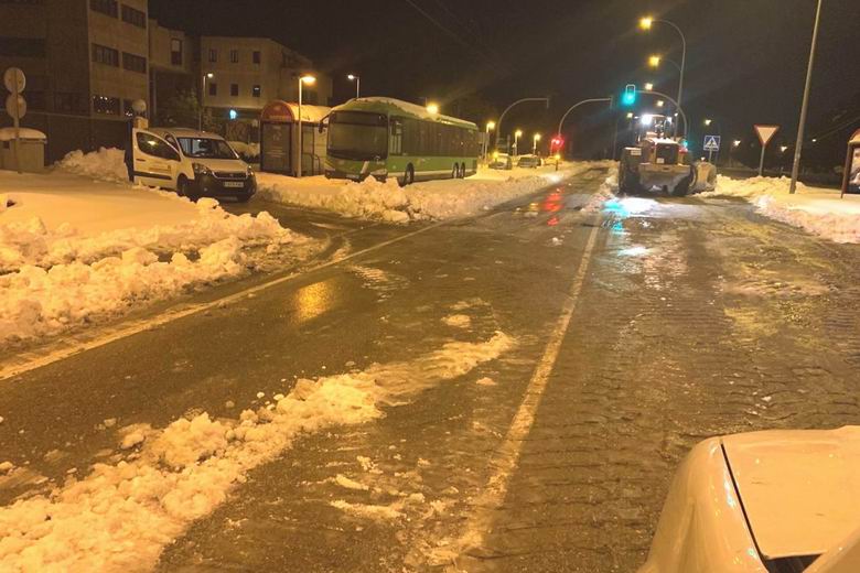 POZUELO DE ALARCÓN. El Ayuntamiento mantendrá suspendidos los servicios municipales hasta el próximo lunes