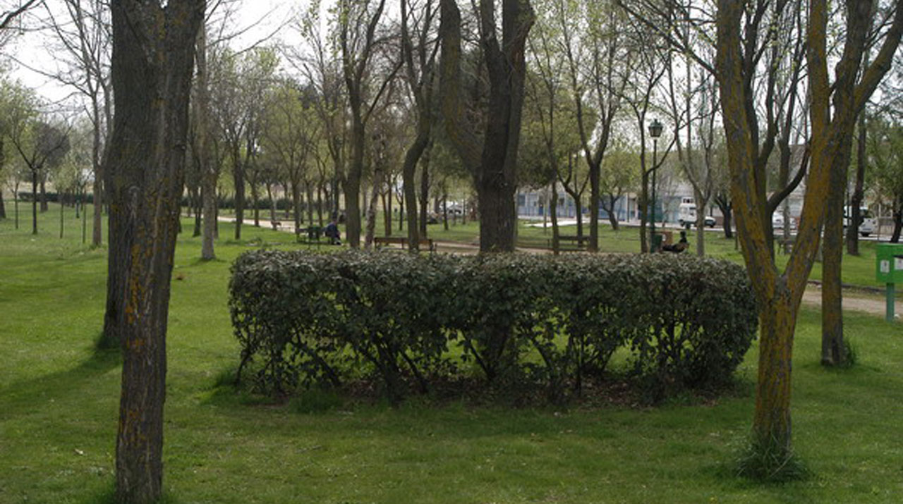 GETAFE. Comienza la campaña de control de mosquitos y mosca negra en el río Manzanares