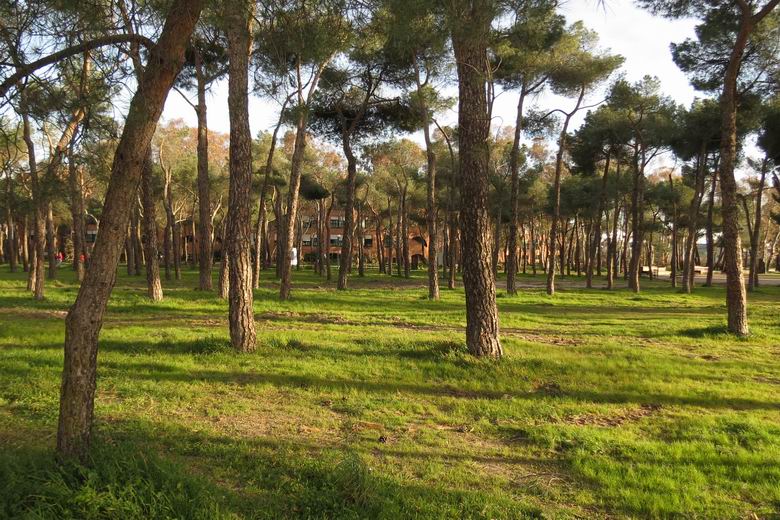 LEGANÉS. Reabre el Parque de Los Frailes tras ejecutar labores de mantenimiento del arbolado
