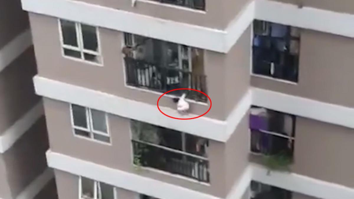 VÍDEO: Un repartidor salva a una niña de tres años que cayó de una altura de 12 pisos