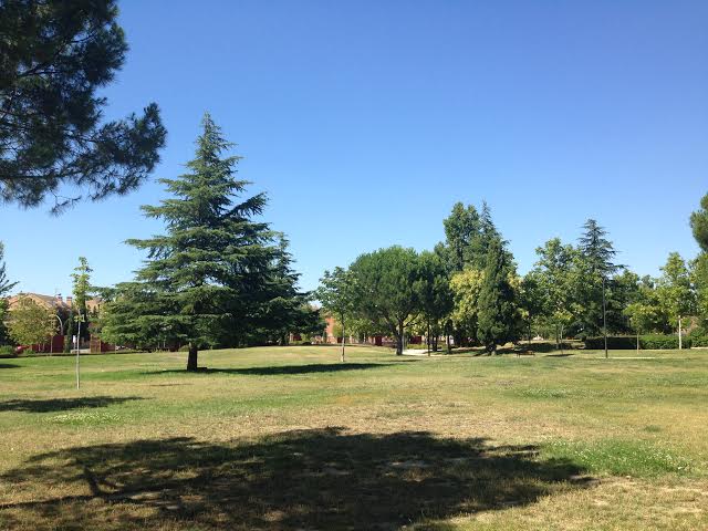 GETAFE. El Ayuntamiento renueva los caminos del Parque Castilla La Mancha