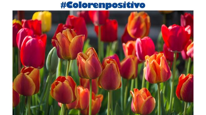 FUENLABRADA. El arte sale a la calle con la exposición ‘Color en positivo’