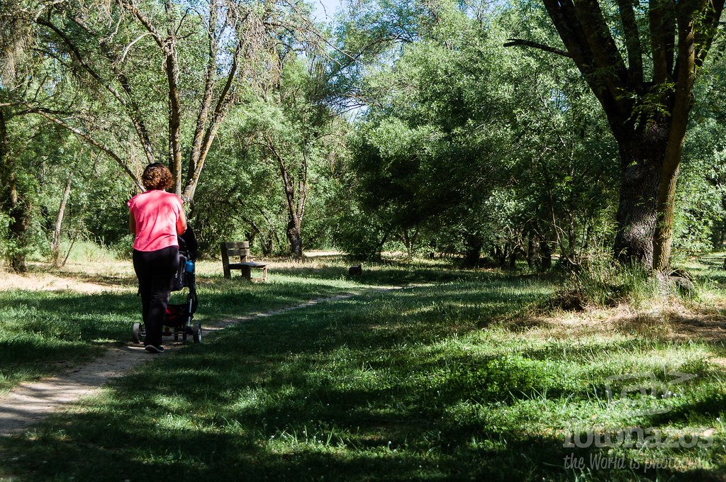 VILLAVICIOSA DE ODÓN. El domingo los niños nacidos en 2019 tendrán un árbol identificado con su nombre