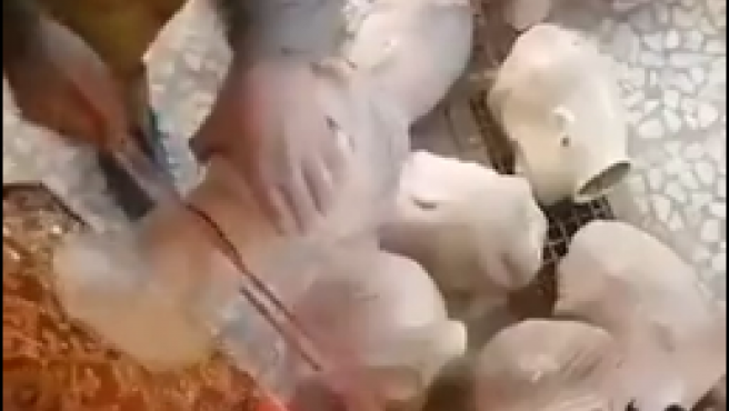 AFGANISTÁN. Los talibanes piden “decapitar” los maniquíes por considerarlos figuras contrarias a la ley islámica