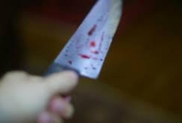 Dos niñas de 12 y 13 años admiten haber matado a puñaladas a otra en Alemania