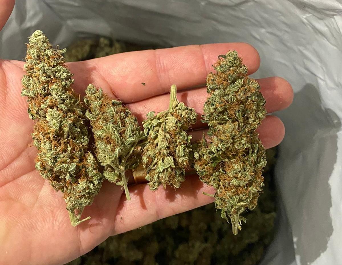 Detenida en un bus en Méndez Álvaro antes de abandonar España con 21 kilos de marihuana