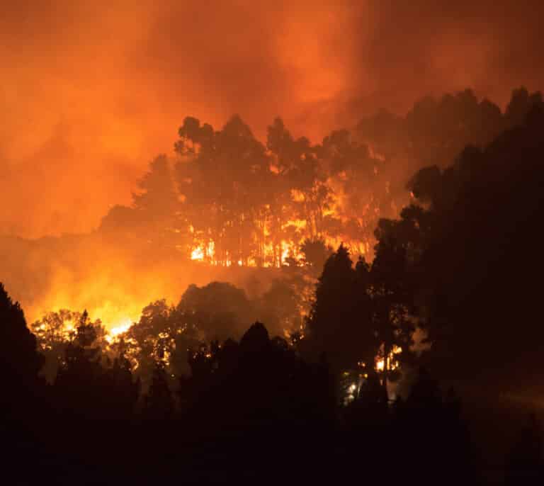 El incendio sigue activo en La Palma y afecta a la Caldera de Taburiente: 4.600 hectáreas arrasadas y más de 4.000 evacuados