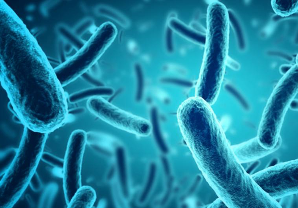 Todos los afectados por el brote de botulismo comieron las tortillas precocinadas sin conservar correctamente y sin calentar